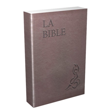 LA BIBLE PAROLE DE VIE PROT ILLUSTREE VALLOTTON BEIGE