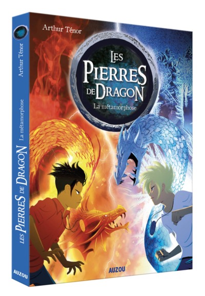 LES PIERRES DE DRAGON TOME 1 - LA METAMORPHOSE