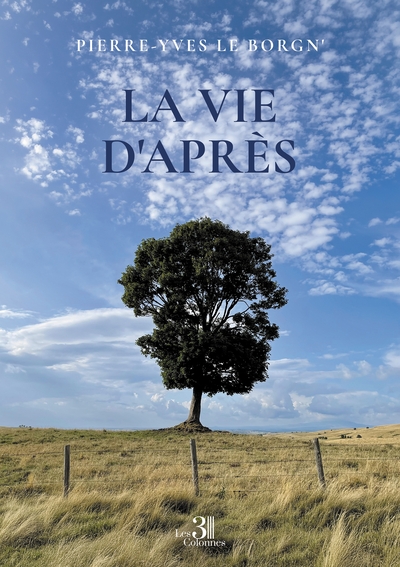 LA VIE D'APRES