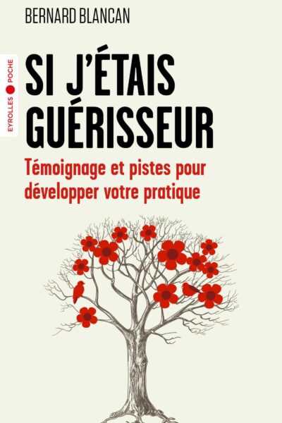 SI J'ETAIS GUERISSEUR - TEMOIGNAGE ET PISTES POUR DEVELOPPER VOTRE PRATIQUE