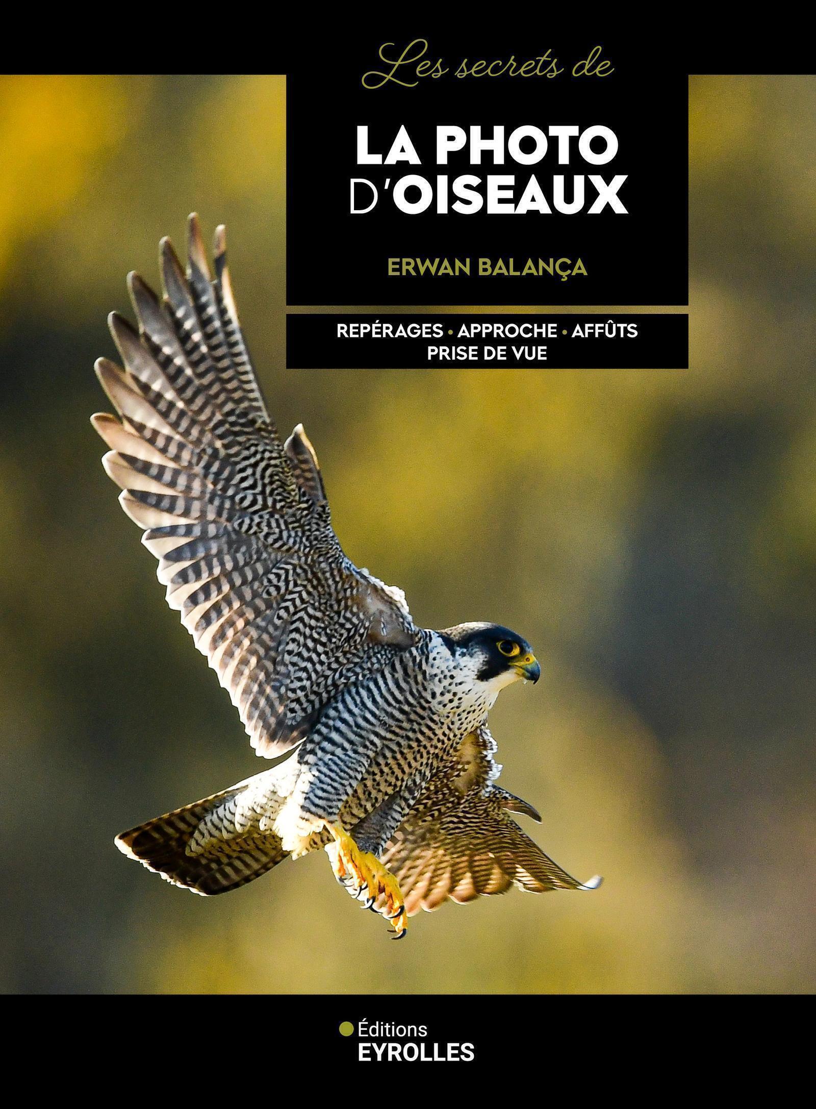 LES SECRETS DE LA PHOTO D'OISEAUX