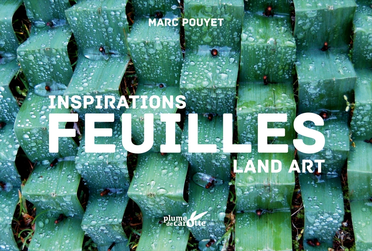 INSPIRATION LAND ART, FEUILLES