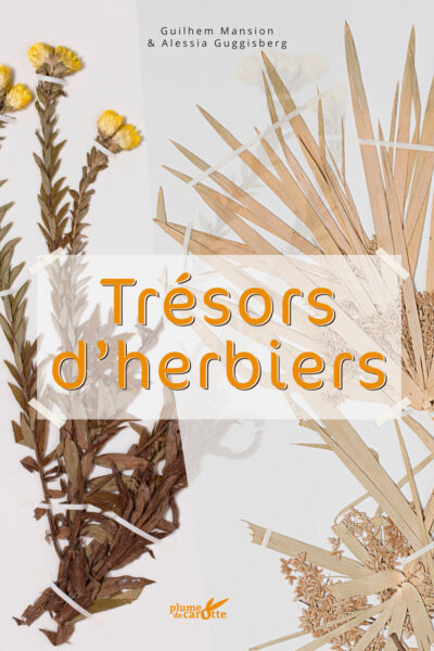 TRESORS D'HERBIERS