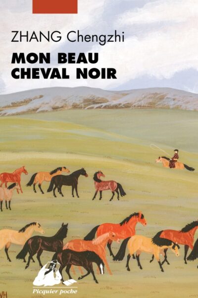 MON BEAU CHEVAL NOIR -