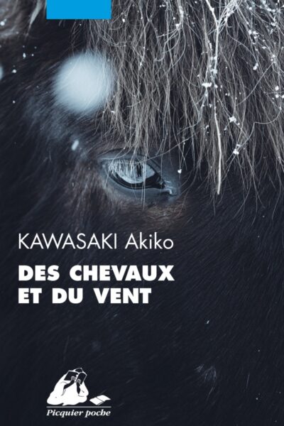 DES CHEVAUX ET DU VENT