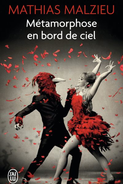 METAMORPHOSE EN BORD DE CIEL   9950