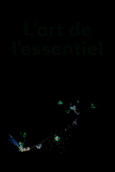 L'ART DE L'ESSENTIEL     9051