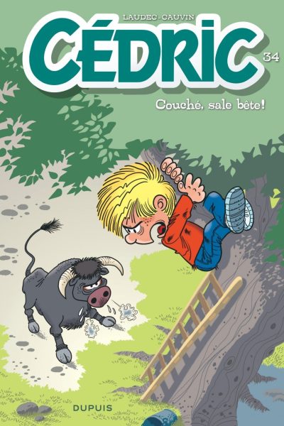 CEDRIC T34 COUCHE, SALE BETE !