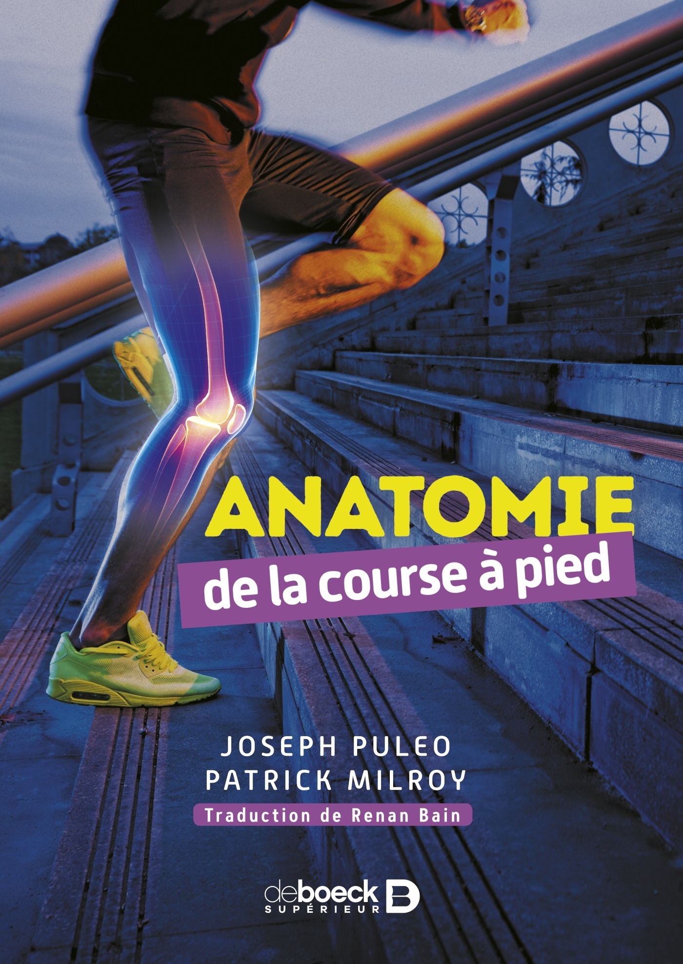 ANATOMIE DE LA COURSE A PIED