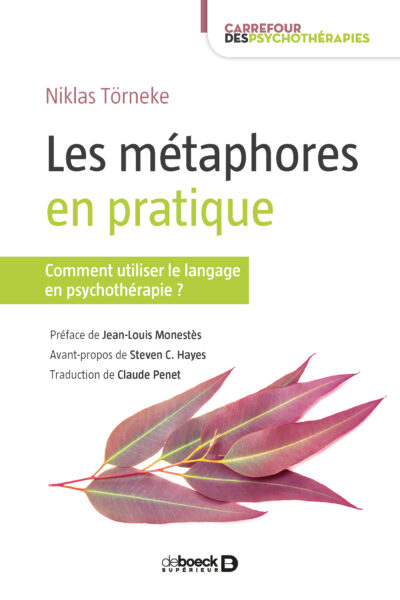 LES METAPHORES EN PRATIQUE