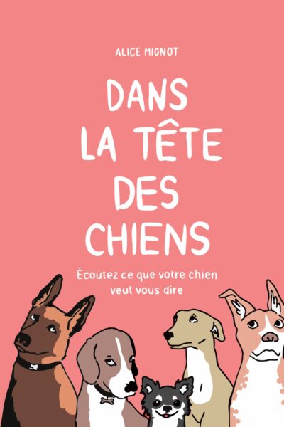 DANS TETE CHIENS