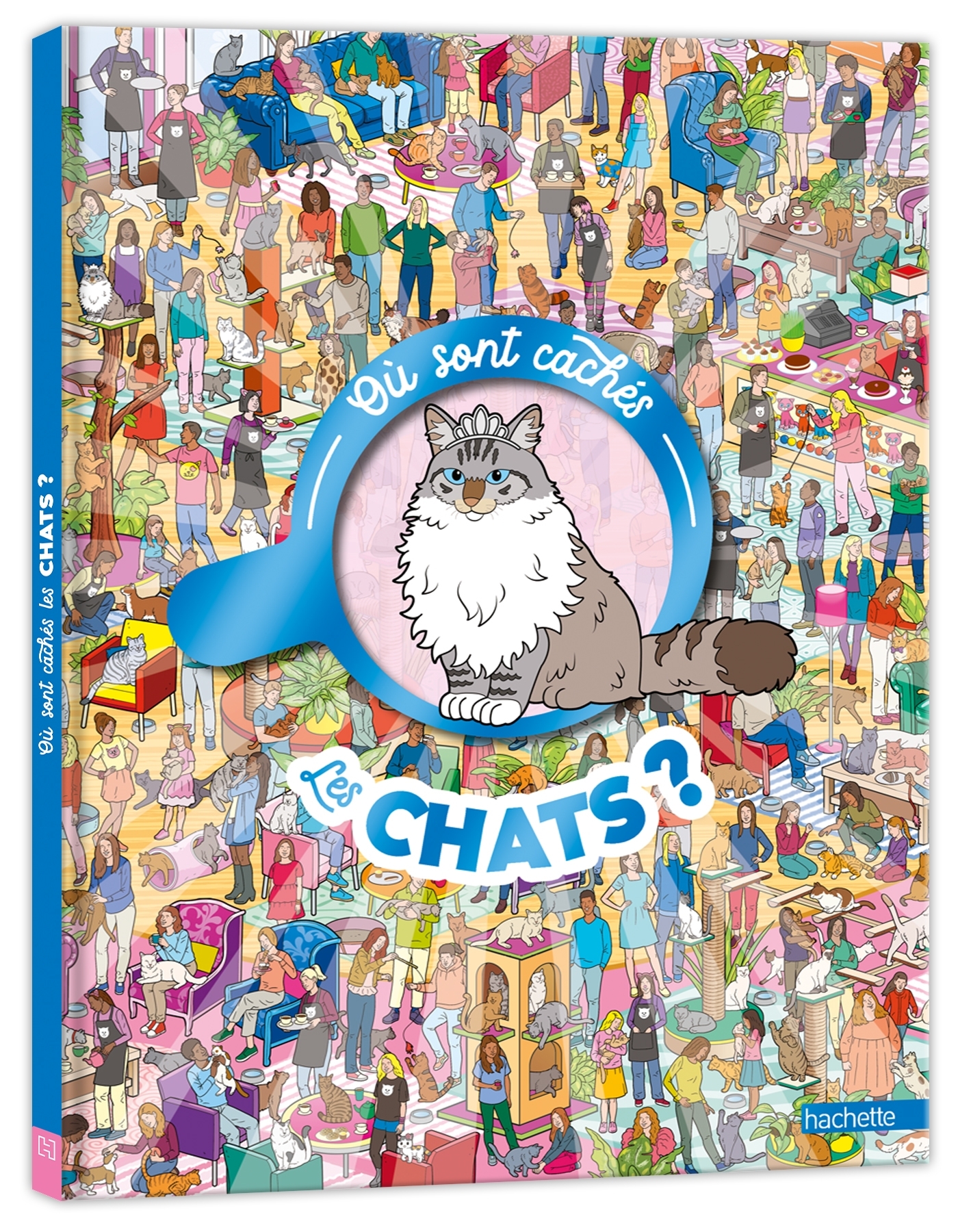 OÙ SONT CACHES LES CHATS ?