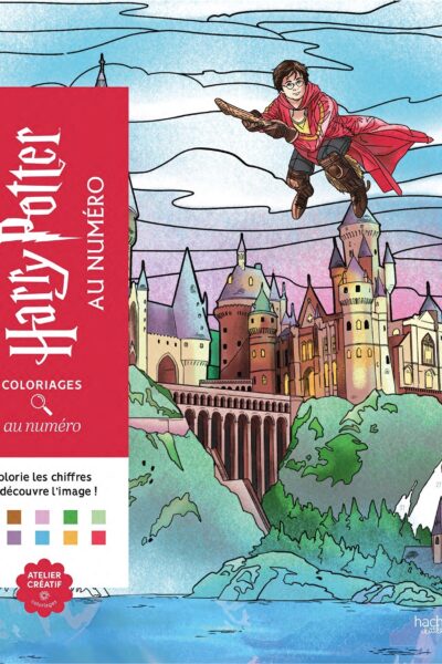 HARRY POTTER AU NUMERO