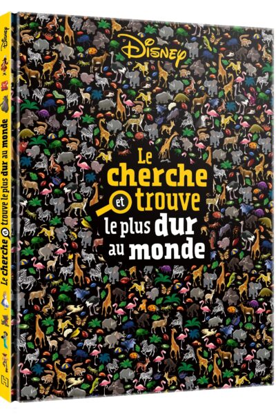 DISNEY - LE CHERCHE ET TROUVE LE PLUS DUR AU MONDE