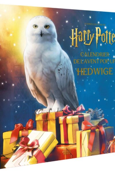 CALENDRIER DE L'AVENT HEDWIGE HARRY POTTER