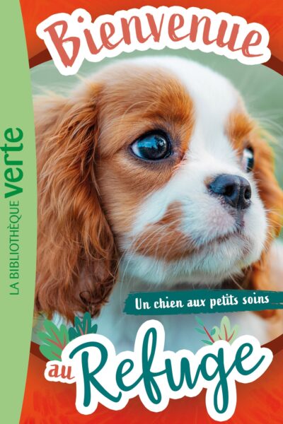 BIENVENUE AU REFUGE T13 UN CHIEN AUX PETITS SOINS