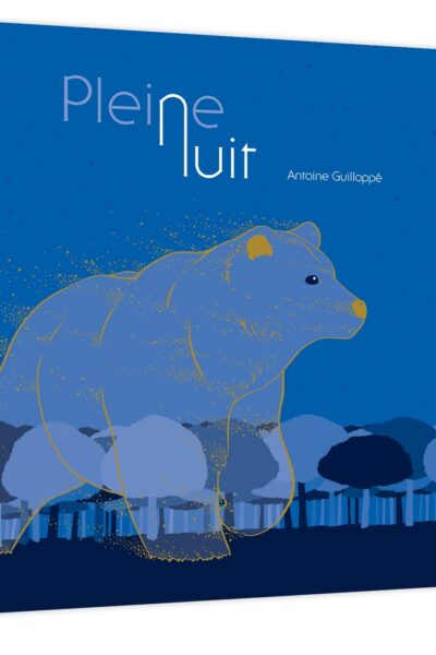 PLEINE NUIT