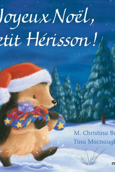 JOYEUX NOËL, PETIT HERISSON ! TOUT CARTON