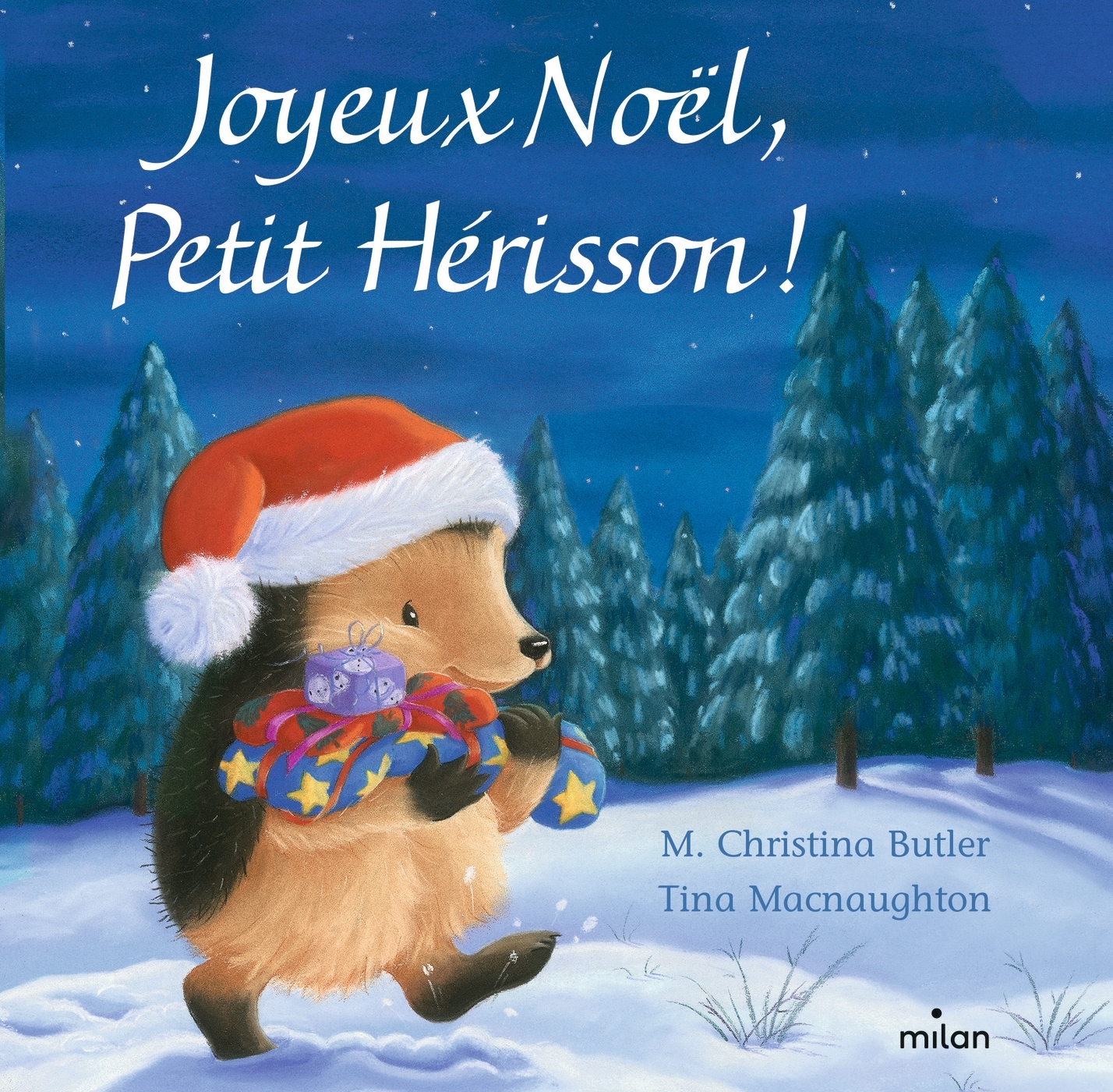JOYEUX NOËL, PETIT HERISSON ! TOUT CARTON