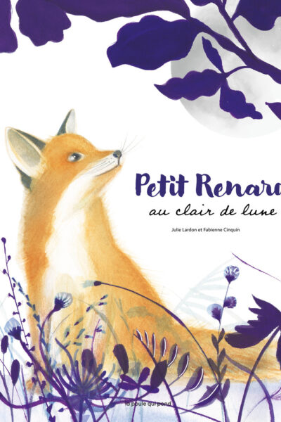 PETIT RENARD AU CLAIR DE LUNE