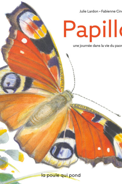 PAPILLON : UNE JOURNEE DANS LA VIE D'UN PAON DU JOUR