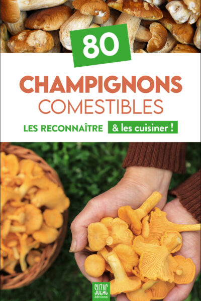 80 CHAMPIGNONS COMESTIBLES