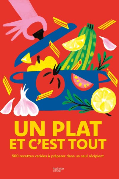 UN PLAT ET C'EST TOUT - 500 RECETTES VARIEES A PREPARER DANS UN SEUL RECIPIENT !