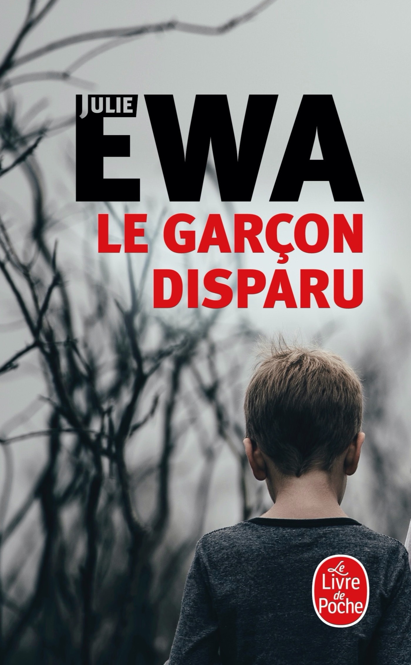 LE GARCON DISPARU