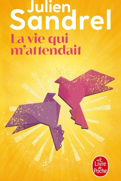 LA VIE QUI M'ATTENDAIT