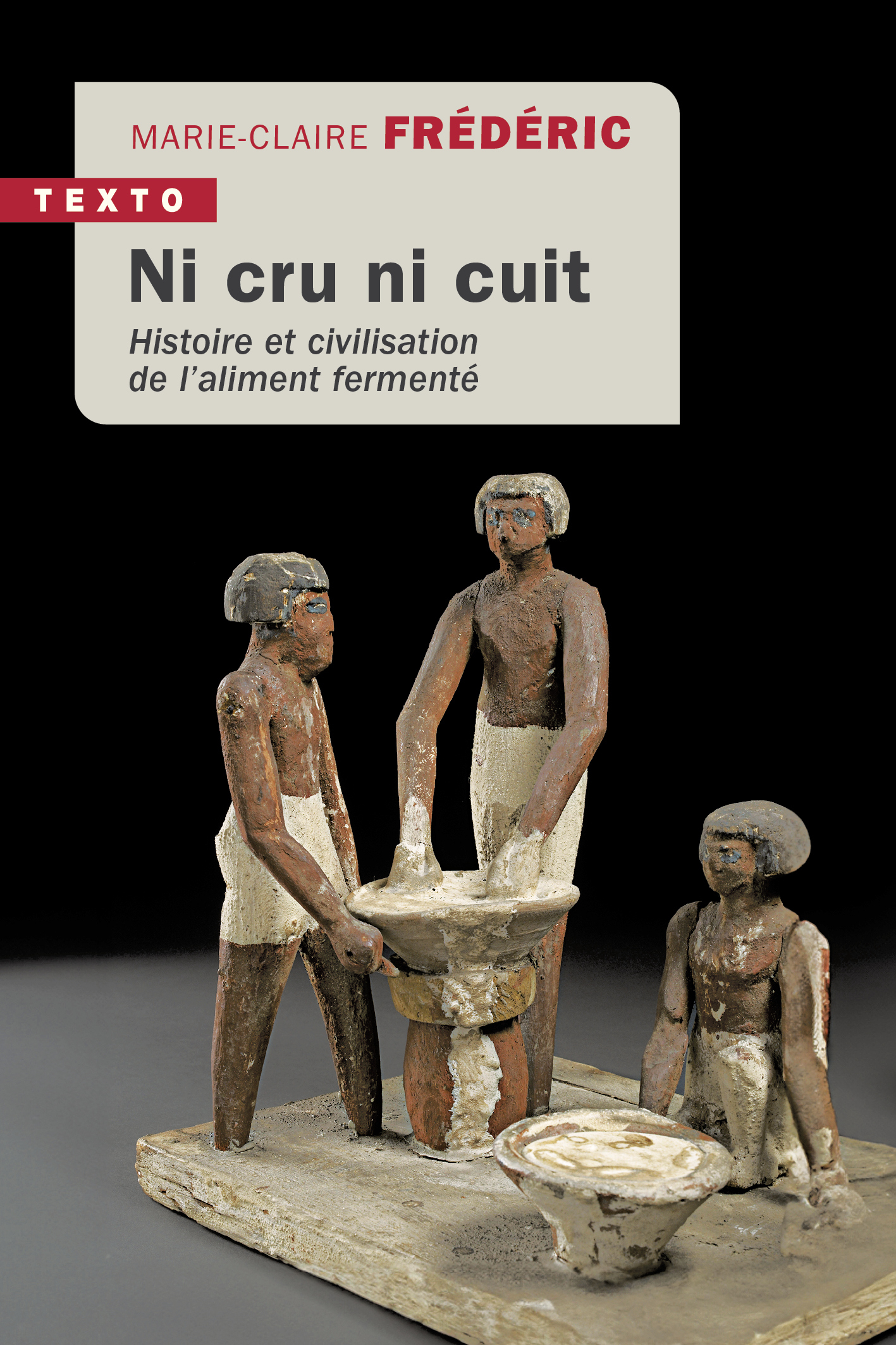 NI CRU NI CUIT - HISTOIRE ET CIVILISATION DE L ALIMENT FERMENTE