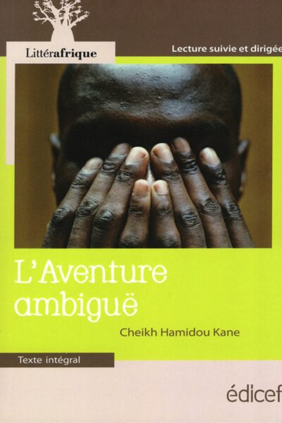 L'AVENTURE AMBIGUË