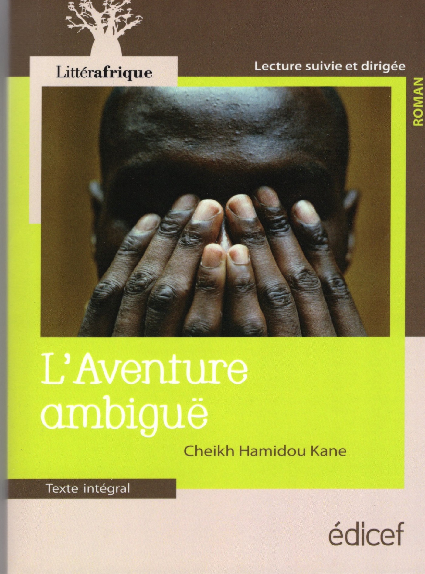 L'AVENTURE AMBIGUË