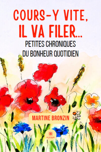 COURS-Y VITE, IL VA FILER -PETITES CHRONIQUES DU BONHEUR QUOTIDIEN