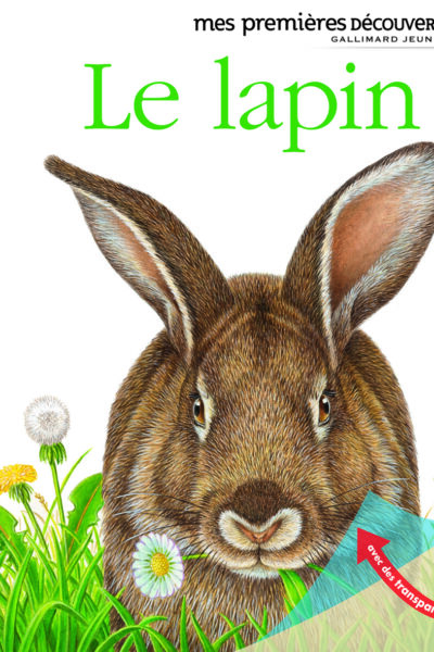 MES PREMIERES DECOUVERTES T51 LE LAPIN