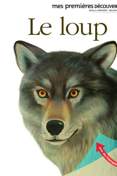 MES PREMIERES DECOUVERTES T18 LE LOUP