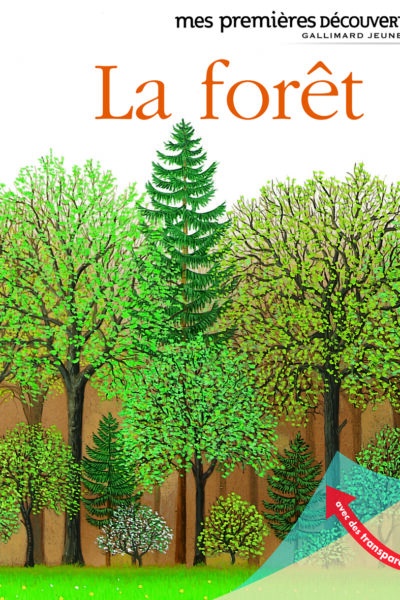 LA FORÊT T72 MES PREMIERES DECOUVERTES