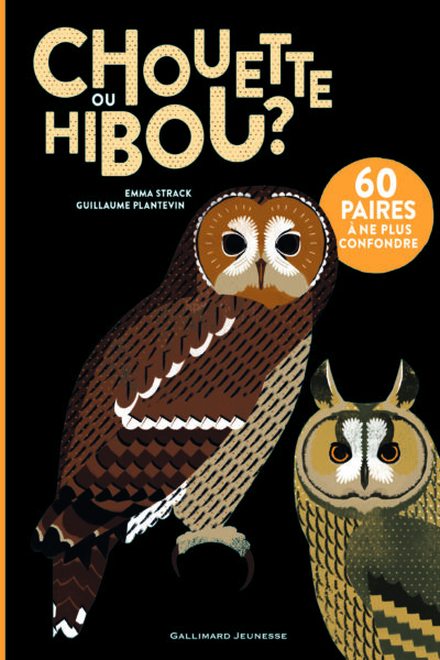 CHOUETTE OU HIBOU ?
