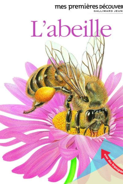 L'ABEILLE T21 MES PREMIERES DECOUVERTES