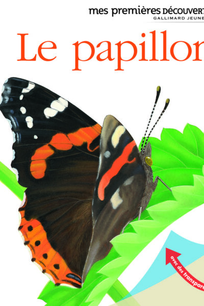 MES PREMIERES DECOUVERTES T71 LE PAPILLON