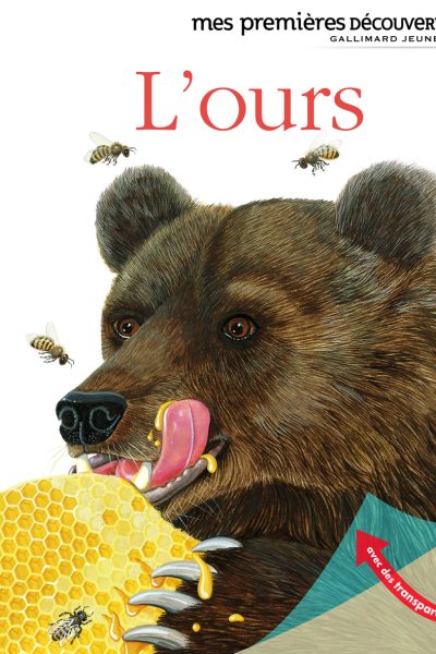 MES PREMIERES DECOUVERTES T69 L'OURS