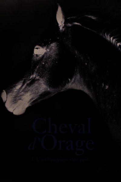 CHEVAL D'ORAGE T01 UN CHAMPION SANS PRIX
