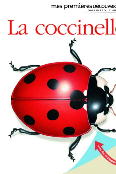 MES PREMIERES DECOUVERTES T01 LA COCCINELLE