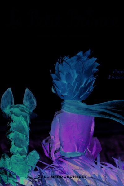 LE PETIT PRINCE RACONTE AUX ENFANTS