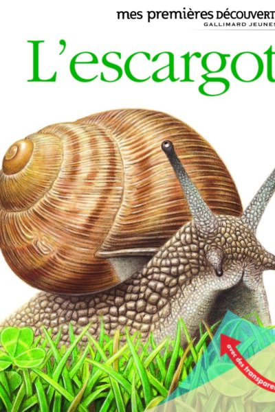 L'ESCARGOT 32 MES PREMIERES DECOUVERTES