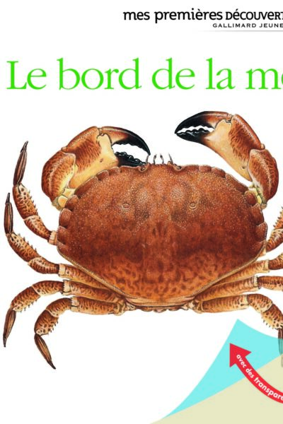 LE BORD DE LA MER     43