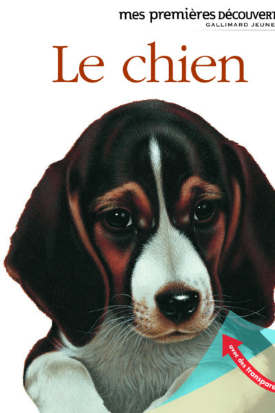 MES PREMIERES DECOUVERTES T27 LE CHIEN
