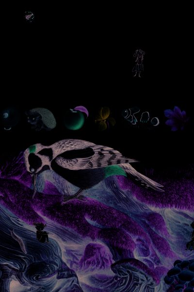 LE GRAND IMAGIER DE LA NATURE