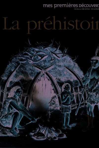 LA PREHISTOIRE 41 MES PREMIERES DECOUVERTES