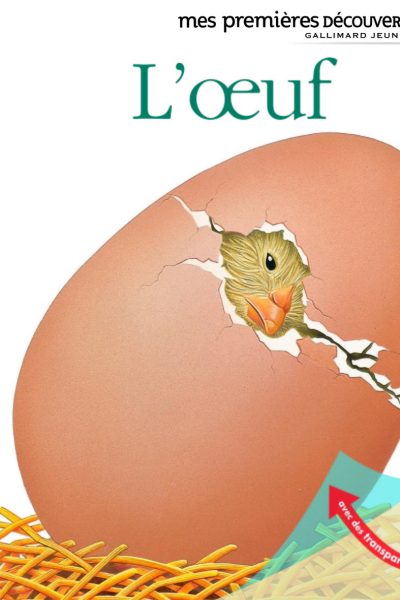 MES PREMIERES DECOUVERTES T03 L'OEUF
