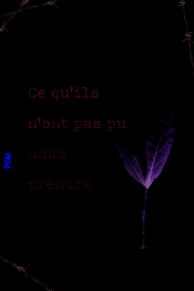 CE QU'ILS N'ONT PAS PU NOUS PRENDRE